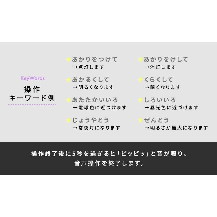 シーリングライト LED 8畳 照明 おしゃれ 音声操作 調光 調色 LEDシーリングライト 天井  スピーカー CL8DL-5.11V アイリスオーヤマ | IRIS OHYAMA | 08