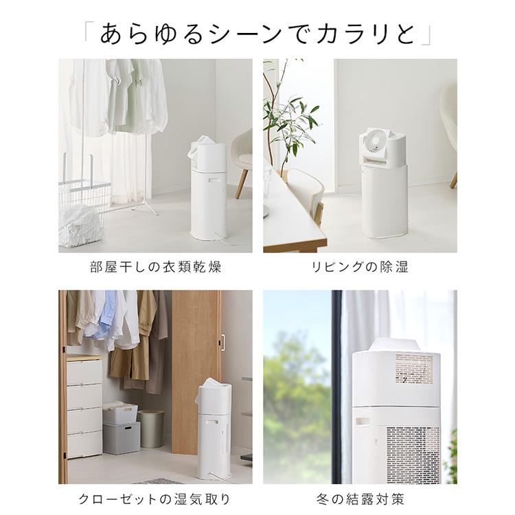 IRIS OHYAMA（アイリスオーヤマ） 除湿機 衣類乾燥除湿機 デシカント式