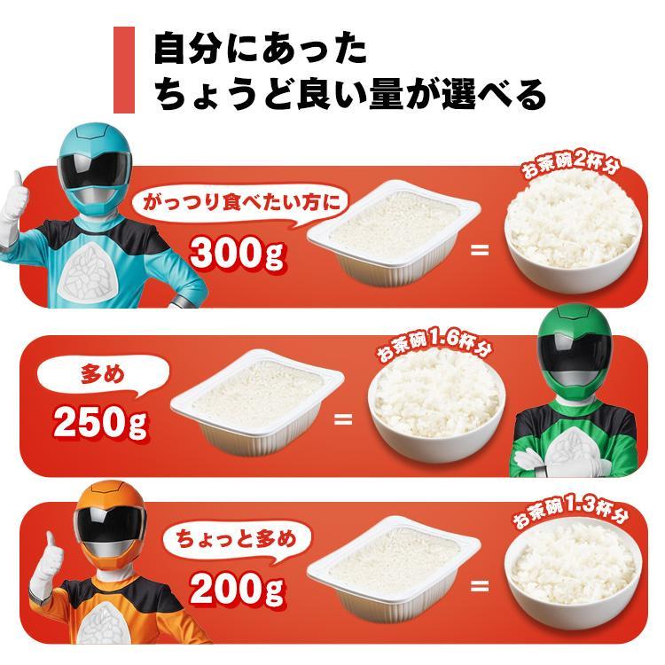 IRIS OHYAMA（アイリスオーヤマ） 低温製法米のおいしいごはん 120g×3