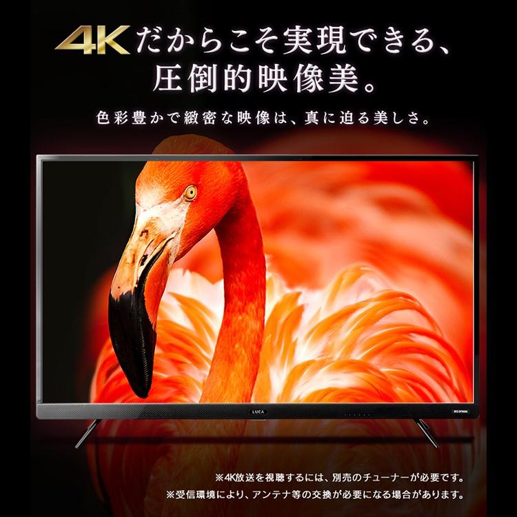 IRIS OHYAMA テレビ 49型 液晶テレビ 49インチ 4K 4Kテレビ 新品 本体