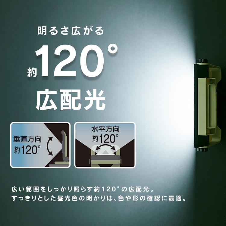 IRIS OHYAMA（アイリスオーヤマ） 投光器 LED 作業灯 ベースライト