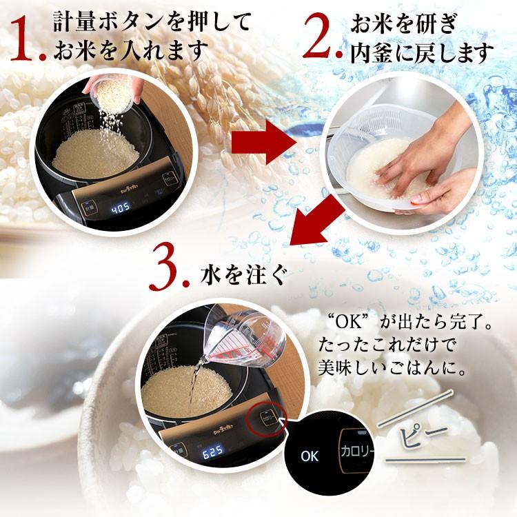 IRIS OHYAMA（アイリスオーヤマ） 炊飯器 5合炊き 圧力 IH 一人暮らし