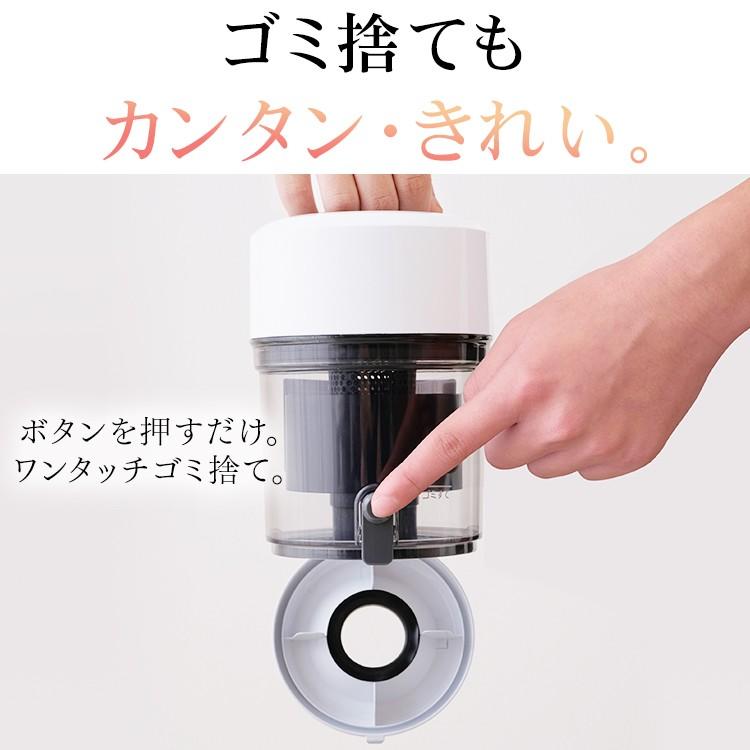 IRIS OHYAMA（アイリスオーヤマ） 掃除機 サイクロン 遠心分離 軽量