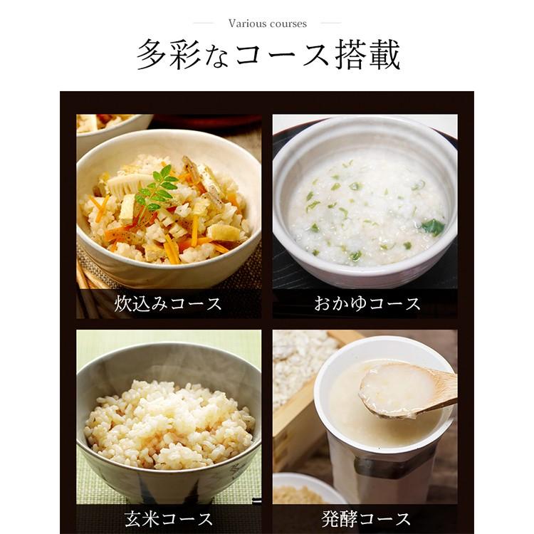IRIS OHYAMA（アイリスオーヤマ） 炊飯器 5合 5.5合 5合炊き ジャー