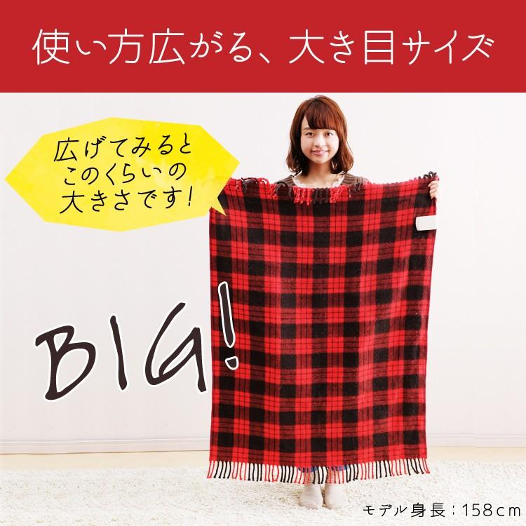 電気毛布 電気ひざ掛け 電気ブランケット チェック柄 120×80 洗える 室温センサー 省エネ 暖房 寒さ対策 冬 アイリスオーヤマ EBK-1208 * | IRIS OHYAMA | 07