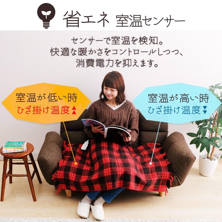 IRIS OHYAMA（アイリスオーヤマ） 電気毛布 電気ひざ掛け 電気