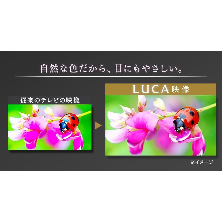 IRIS OHYAMA テレビ 49型 液晶テレビ 49インチ アイリスオーヤマ 4K 4K