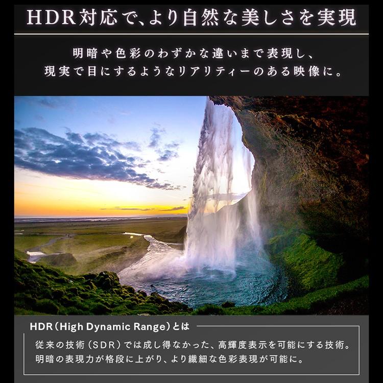 テレビ 55型 液晶テレビ 55インチ 新品 本体 アイリスオーヤマ 4K 4K対応 4Kテレビ 新生活 ブラック LT-55B620 | IRIS OHYAMA | 06