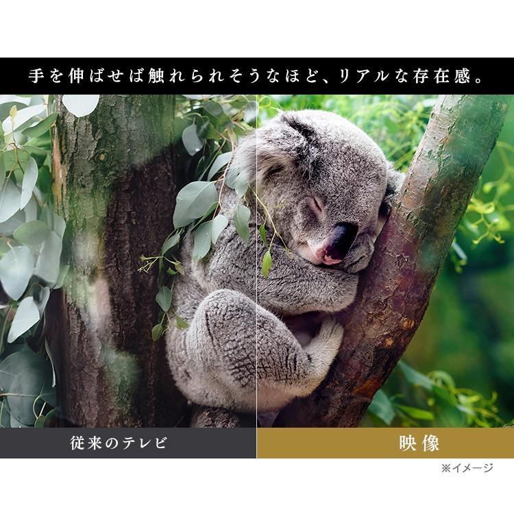 テレビ 65型 液晶テレビ 65インチ 4K 音声操作 4K対応液晶テレビ LUCA ベゼルレスモデル LT-65B628VC ブラック アイリスオーヤマ【代引き不可】 | IRIS OHYAMA | 14