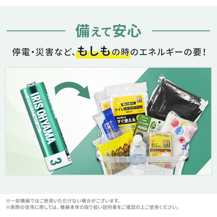 乾電池 単3 アルカリ乾電池 電池 12本 BIGCAPA basic＋ 単3形アルカリ乾電池12本パック LR6Bbp/12S アイリスオーヤマ (メール便) | IRIS OHYAMA | 03