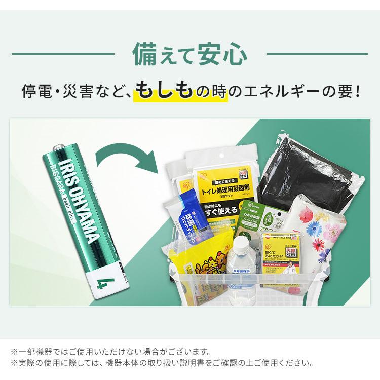 BIGCAPA basic＋ 単4形アルカリ乾電池10本パック LR03Bbp/10S アイリスオーヤマ (メール便) | IRIS OHYAMA | 04