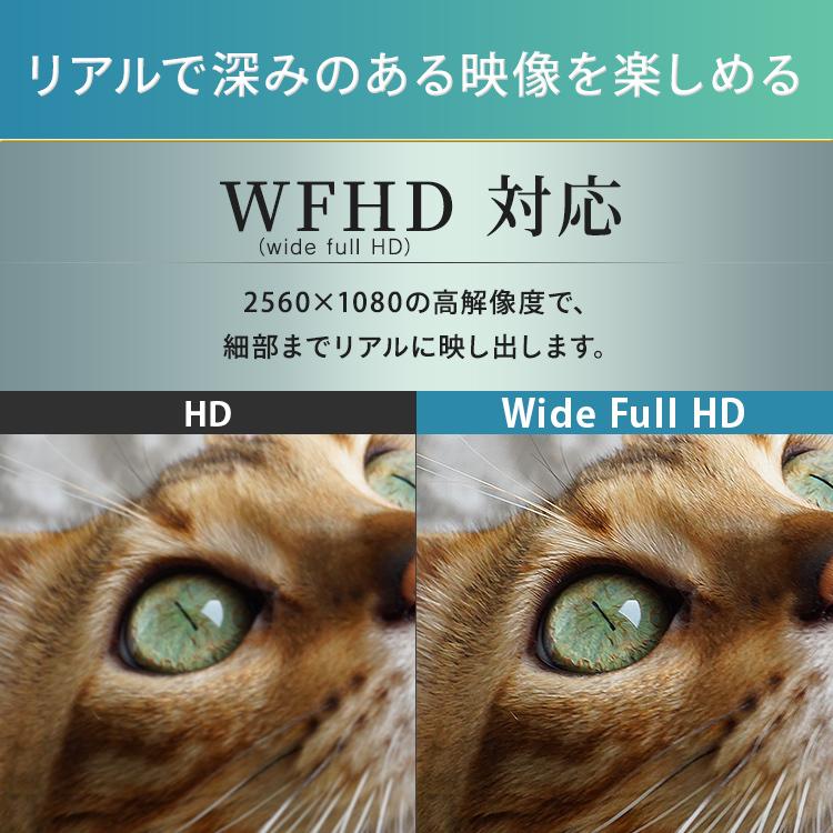 モニター ゲーミングモニター モバイルモニター PCモニター パソコンモニター ディスプレイ 29インチ ウルトラワイドモニター アイリスオーヤマ ILD-AW29FHD-B | IRIS OHYAMA | 10