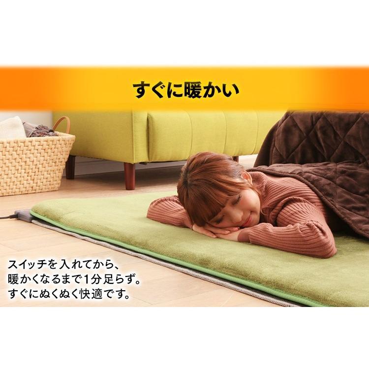 ホットカーペット 2畳 TEKNOS カーペット 本体 おしゃれ ダニ退治 電気カーペット 温度調節 折り畳み 電気マット ホットマット 足元 HC-IR200