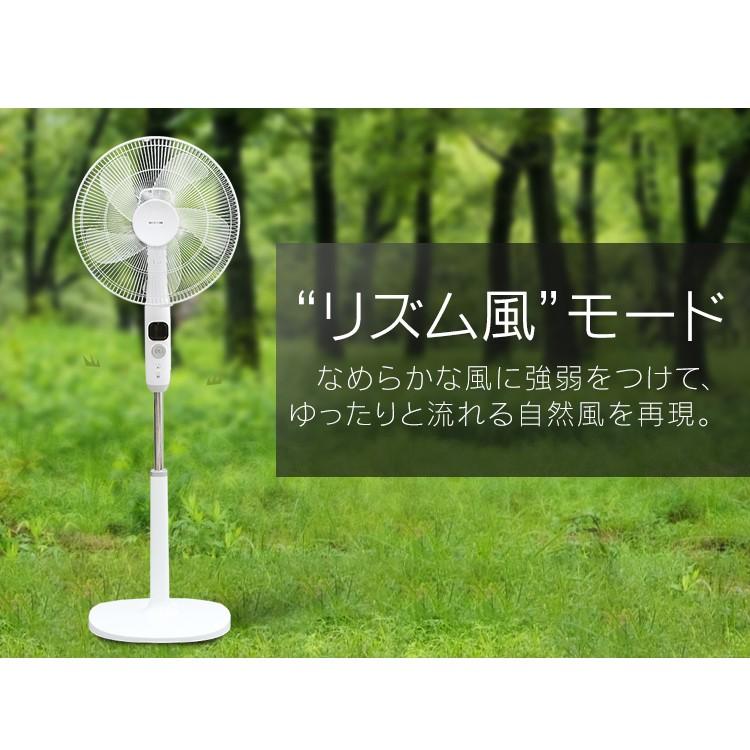 IRIS OHYAMA（アイリスオーヤマ） 扇風機 DCモーター リビング DC 40cm