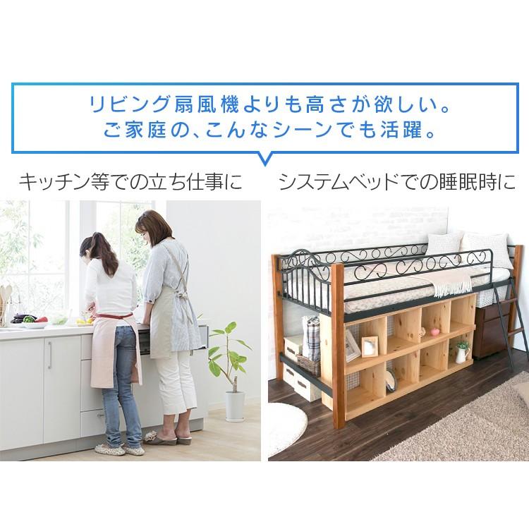 IRIS OHYAMA（アイリスオーヤマ） 扇風機 DCモーター リビング DC 40cm 