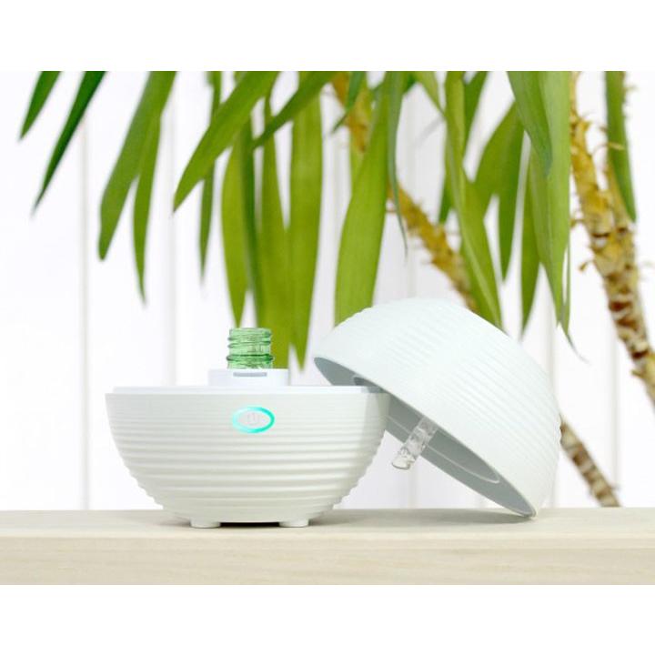 セラヴィ 加温式アロマディフューザーHeater Aroma Diffuser CLV-625 76250001 セラヴィ (D) |  | 01