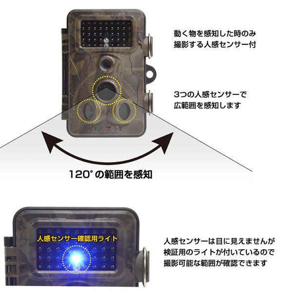 THANKO サンコー 自動録画防犯カメラ RD1006AT AUTMTSEC サンコー (D