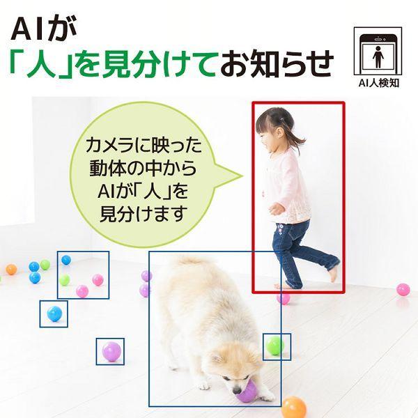 カメラ ieCame ネットワークカメラ (パンチルト) RS−WFCAM2