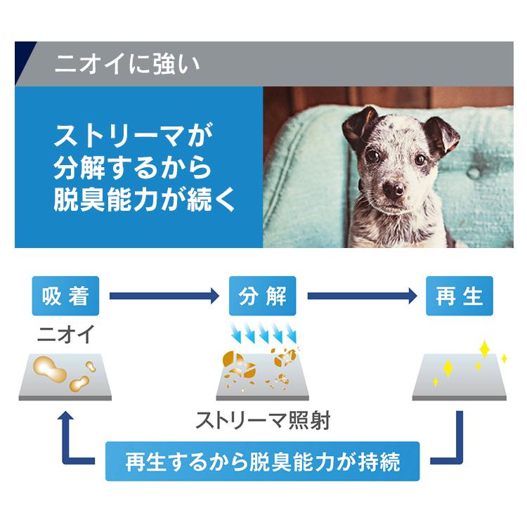 ダイキン（DAIKIN） 空気清浄機 加湿 空気清浄 除湿 2022年モデル