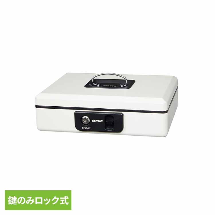金庫 家庭用 小型 手提げ 手持ち 鍵式 B5 コイントレイ付 現金 お金