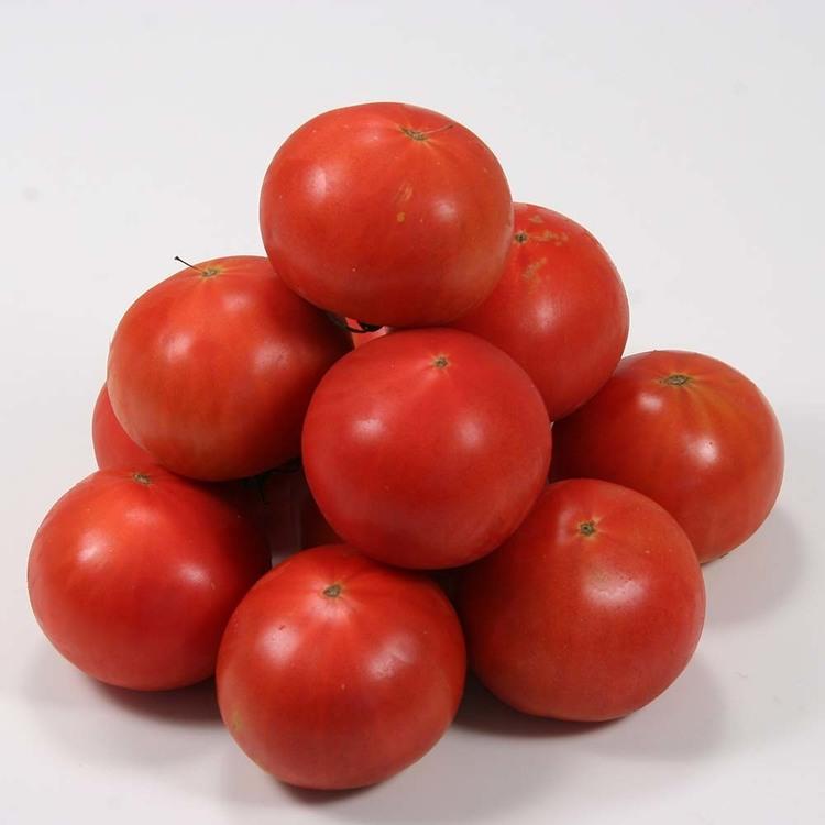 トマト 北海道 産地直送 旬 フルーツ 野菜 ギフト 糖度 下川町産フルーツトマト1箱（8〜15玉） (代引不可) (TD) |  | 02