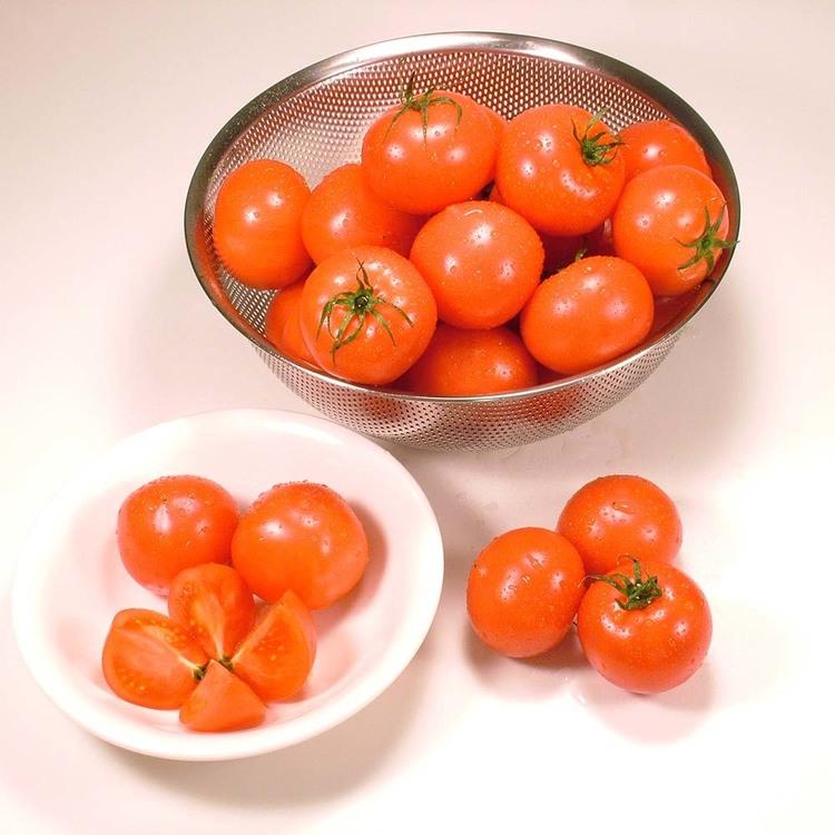 トマト 北海道 産地直送 旬 フルーツ 野菜 ギフト 糖度 下川町産フルーツトマト1箱（8〜15玉） (代引不可) (TD) |  | 03