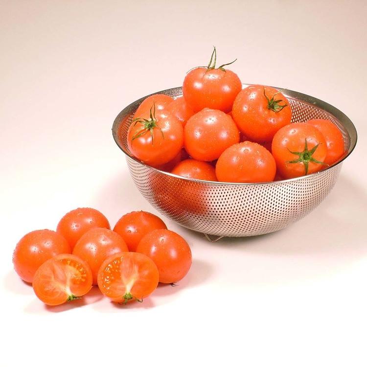 トマト 北海道 産地直送 旬 フルーツ 野菜 ギフト 糖度 下川町産フルーツトマト1箱（8〜15玉） (代引不可) (TD) |  | 04