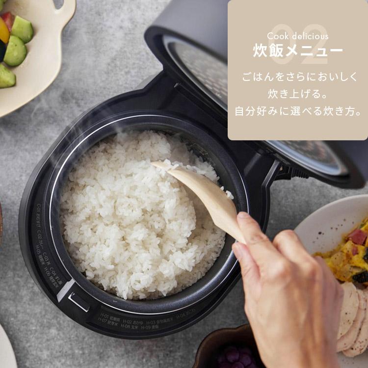 IRIS OHYAMA（アイリスオーヤマ） 炊飯器 3合炊き 一人暮らし用 炊飯 
