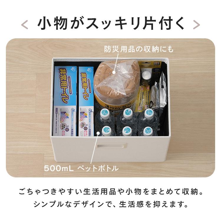 IRIS OHYAMA（アイリスオーヤマ） 収納ボックス 幅38cm 奥行き27cm