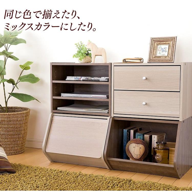 IRIS OHYAMA（アイリスオーヤマ） カラーボックス 収納 扉 おしゃれ