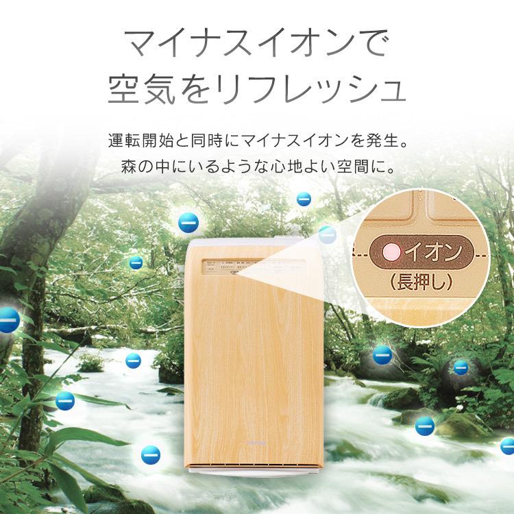 IRIS OHYAMA 加湿器 空気清浄機 花粉対策 加熱式 アイリス