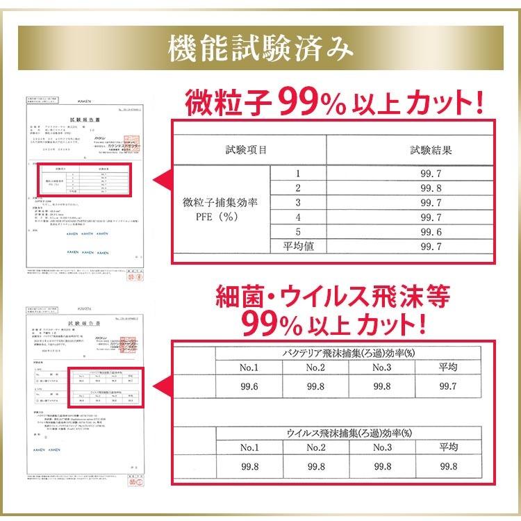 マスク 不織布 65枚入り アイリスオーヤマ プリーツマスク 学童 小さめ ふつう ゆったり大きめ PN-NV65G PN-NV65S PN-NV65L PN-NV65LL|joylight|04