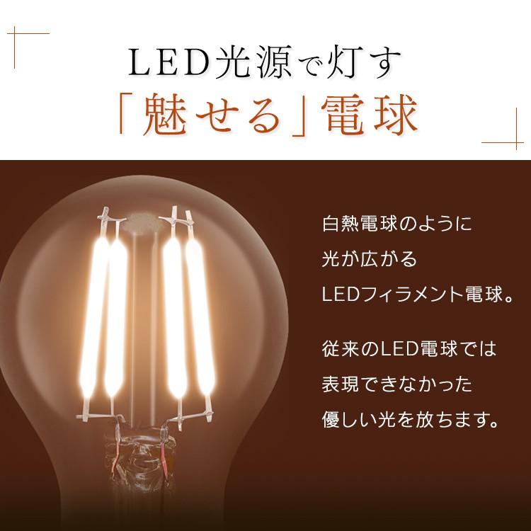 IRIS OHYAMA（アイリスオーヤマ） LED電球 E17 25W 電球 LED
