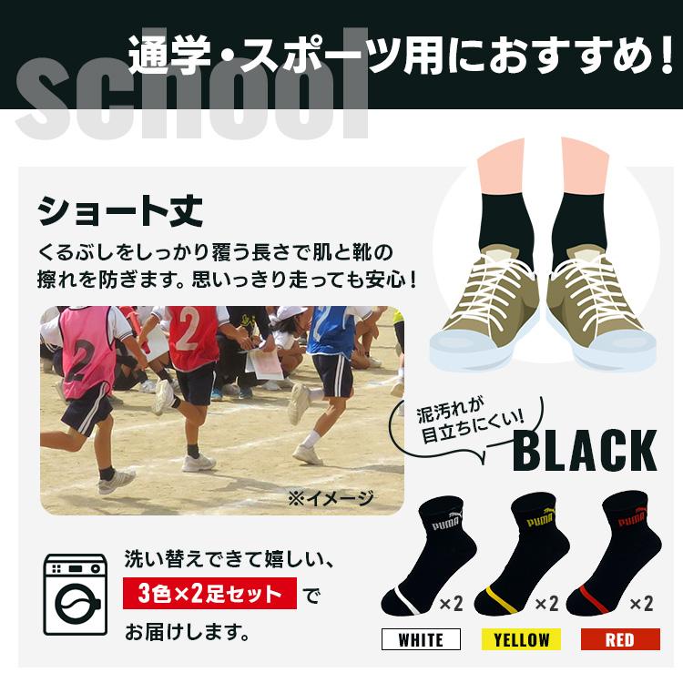 プーマ スポーツブランド ソックス PUMA6足セット 4293719 PUMA (D)(B)(メール便) | PUMA | 03