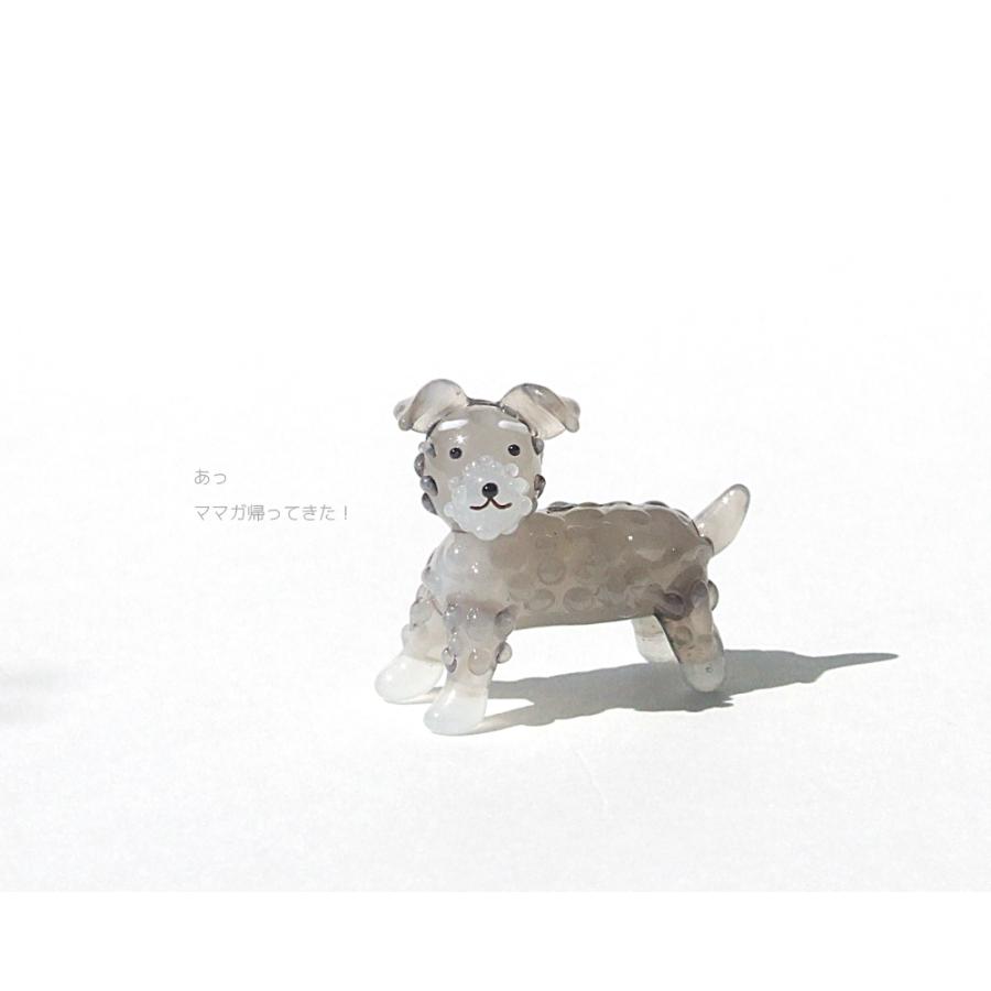 ガラス細工 ミニチュア 犬 ミニチュアシュナウザー 家族 私の家族