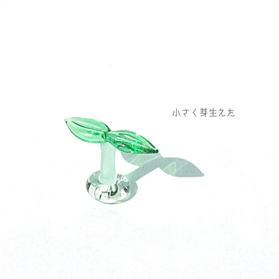 ガラス細工 ミニチュアガラス 双葉 若葉 ラッキーアイテム 小さな ふたば 見つけたよ 21年5月14日より発送開始品 Sa 5 ガラス細工 The Joy Luck Store 通販 Yahoo ショッピング