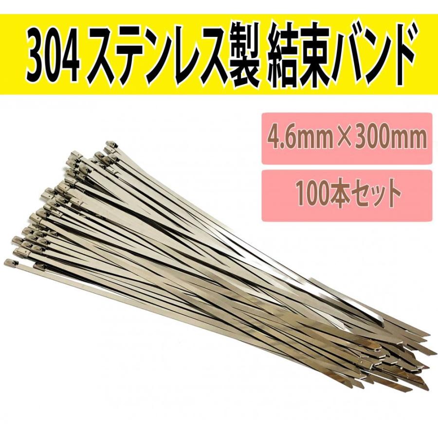 ステンレス製結束バンド 100本セット 4.6mm×300mm SUS304製 タイラップ 【12月スーパーSALE 金属バンド インシュ