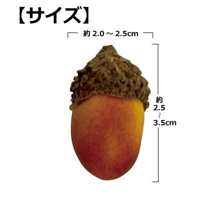 どんぐりぽん商品 どんぐりころころ 【カタログ掲載】 - 木のおもちゃとグッド