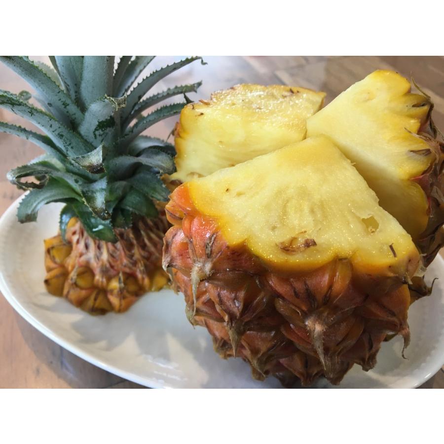 無添加 砂糖不使用 ドライパイナップル 35g×3袋セット カンボジア産 ハニーパイナップル ドライパイン ドライフルーツ＆ナッツアカデミー推奨品 |  | 02