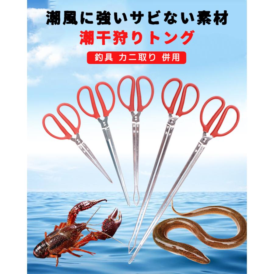 潮干狩り 海 夏 ゴミ拾い 火バサミ キャンプ アウトドア レジャー 貝