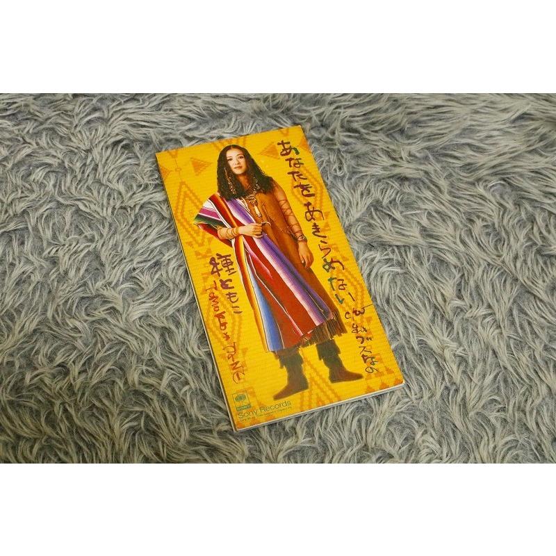 邦楽8cmcd 種ともこ たね ともこ あなたをあきらめない 私ブスなの Cd Cd Joyo Japan 京都の楽器館yahoo 店 通販 Yahoo ショッピング