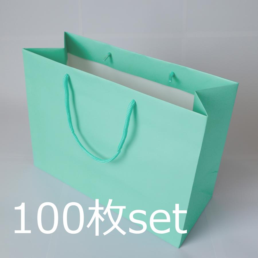 引出物 紙袋 〈大〉H30×W42×マチ20cm　100枚【STP】ブルー パステルカラー ペーパーバッグ / 引出物 結婚式 宴会 祝賀会 式典 行事 業務用 パーティー の商品画像