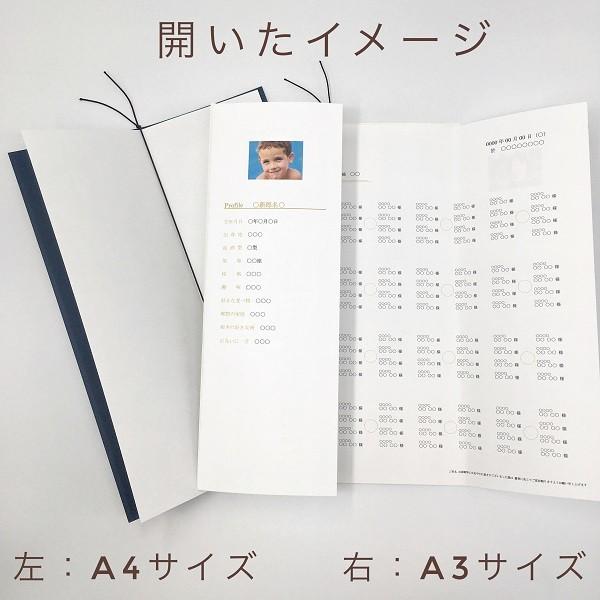 席次表 手作りセット 【マリーナ】 （中紙 A4 or A3） 結婚式 ガーデン