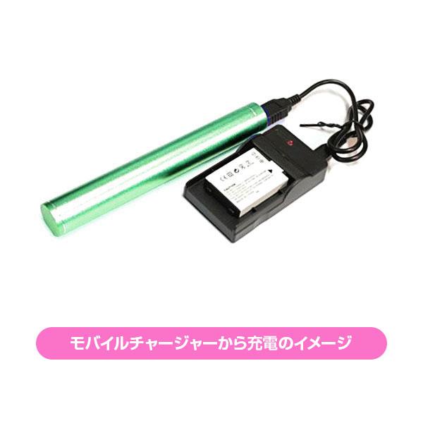 セットDC01 対応USB充電器 と Sony NP-FM50 互換バッテリー｜joypirika｜03