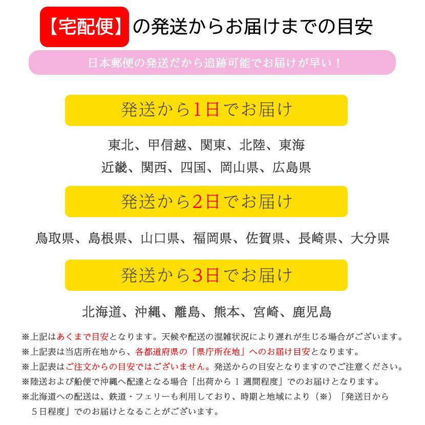 子供服 ベビー服 セットアップ パイナップル柄 上下セット 男の子 女の子 夏 Ｔシャツ 半袖 80 90 100 110 120 | キッズ | 11