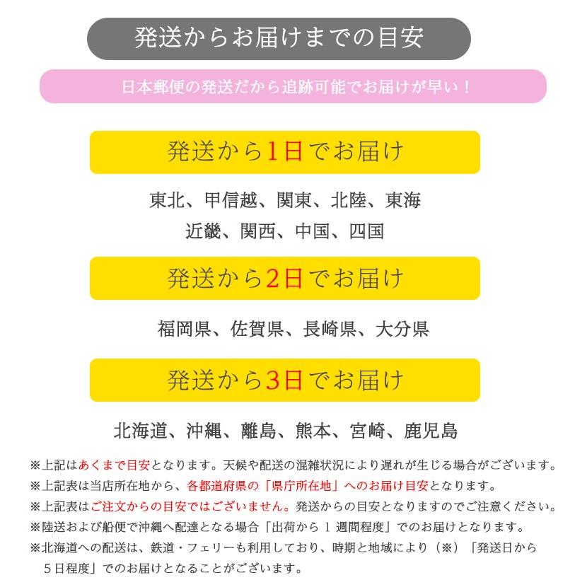 ベビー服 子供服 上下セット 男の子 女の子 夏 春 80 90 100 110 セットアップ 半袖 チェック柄 蝶ネクタイ｜joypot｜10