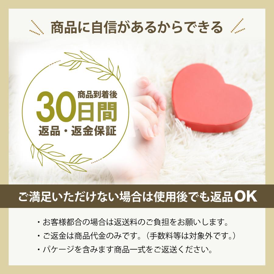 フードドライヤー 食品乾燥機 野菜乾燥 専用レシピ付 トレイ2枚 フードドライヤー 食品乾燥機 野菜乾燥 専用レシピ付 トレイ2枚