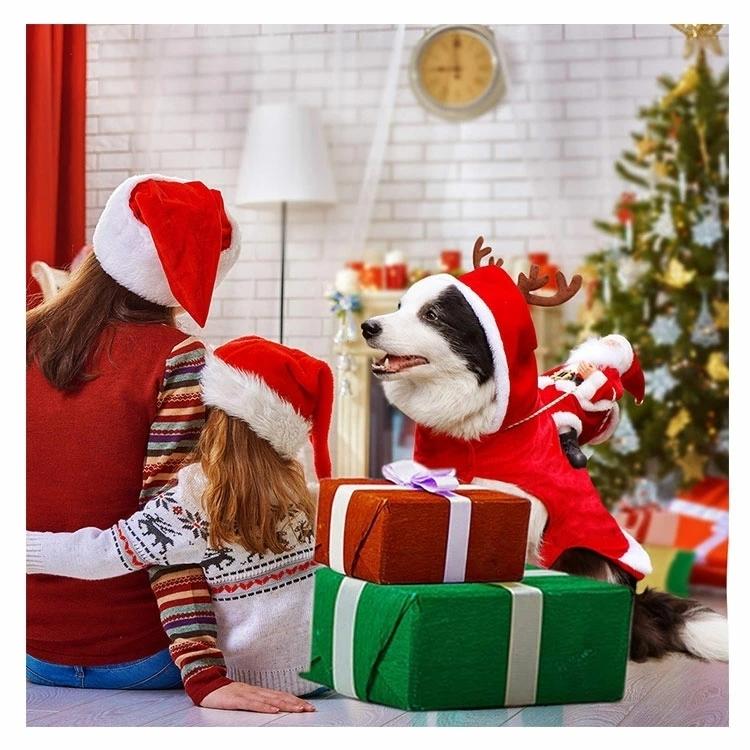 サンタ コスプレ クリスマス 衣装 犬 ペット服 トナカイ コスチューム サンタ服 サンタコスチューム 人形 着ぐるみ ドッグウェア 犬服 Fs J Wr98 Joystyle 通販 Yahoo ショッピング