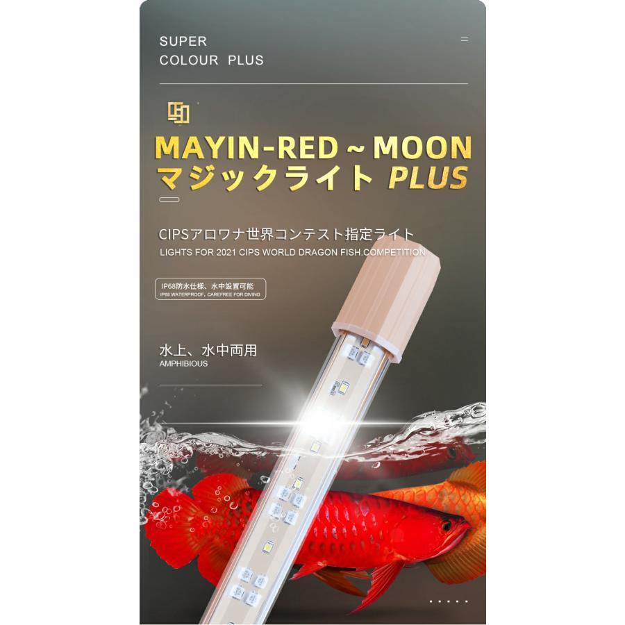 MAYIN 色揚げ ライト スネークヘッド 紅龍 金龍 ナイトメロー MAYIN 色揚げ ライト スネークヘッド 紅龍 金龍 ナイトメロー