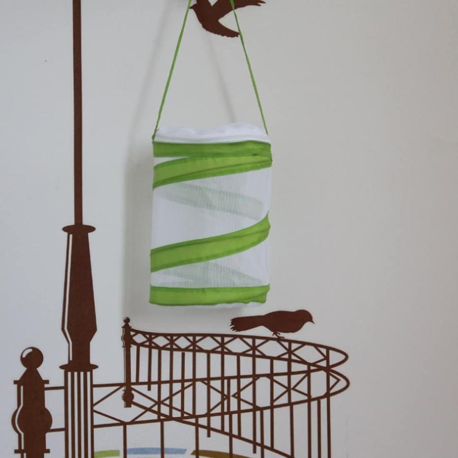 Yifan 昆虫ケージ メッシュ カマキリ 蝶 爬虫類 飼育ケース 高通気性ネット ホワイト グリーン Sサイズ Jpストア 通販 Yahoo ショッピング